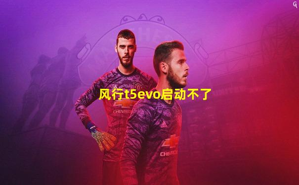 风行t5evo启动不了